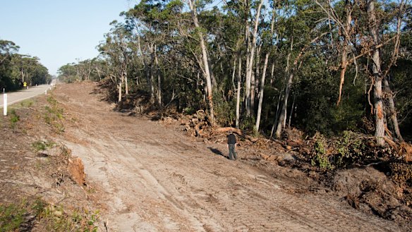 Cape Conran Coastal Park, the Marlo-Conran roadside. 