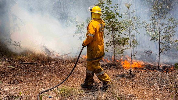 FILE IMAGE: A firefighter battles a bushfire at Deepwater near Bundaberg last month.