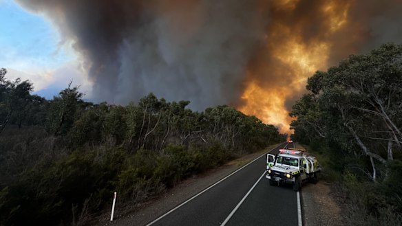 Flames above the tree canopy in the Grampians on Friday. Soaring weekend temperatures were expected to exacerbate the blaze.