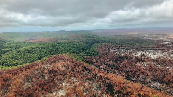 The fire that ravaged Fraser Island has finally been contained. 