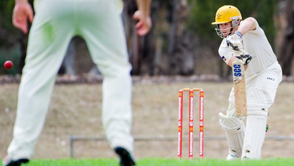 Rhys Healy has led Ginninderra back to the Cricket ACT Douglas Cup final.