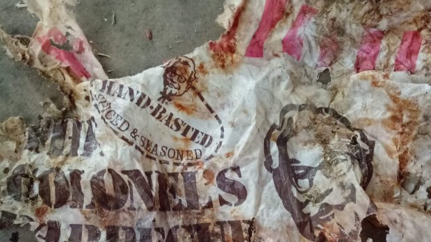 Sunshine Coast Clean Up Divers found debris and a 40-year-old plastic KFC bag in the ocean.