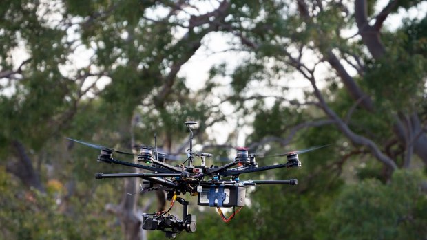 A drone used by QUT researchers to monitor koala populations in southeast Queensland