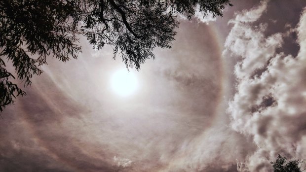 A sun halo appears in the sky over western Sydney on Saturday.