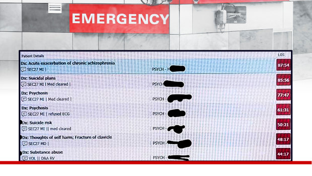 A leaked patient list from Westmead Hospital Emergency Department.