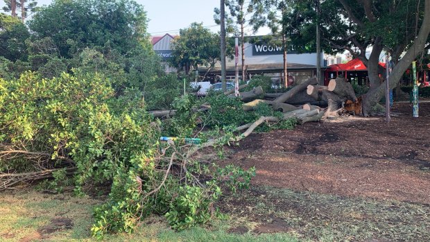 Trees were down in Bulimba after the storm pummelled Brisbane on Wednesday night.