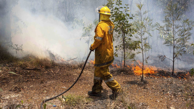 FILE IMAGE: A firefighter battles a bushfire at Deepwater near Bundaberg last month.
