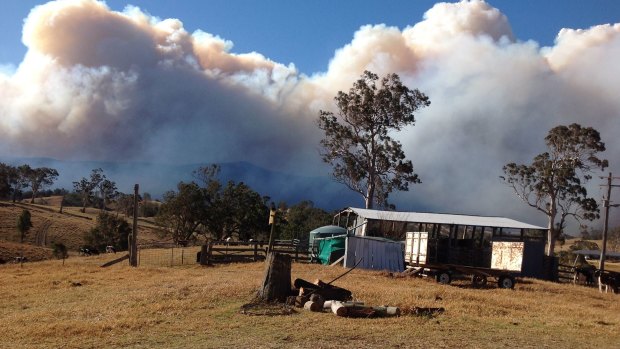 An out-of-control fire burns in a national park at Bemboka earlier this week.