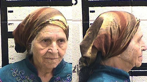 Martha Al-Bishara, 87,  was charged with criminal trespass and obstructing an officer when police held her at gunpoint before bringing her to the ground with a jolt from the electrified prongs of a stun gun. 