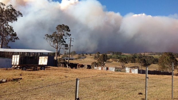 A 300-hectare fire burns out of control at Bemboka last month.