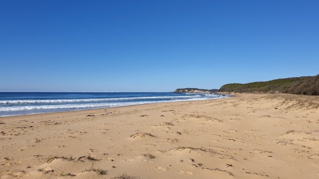 Gillards Beach is pictured on Thursday.