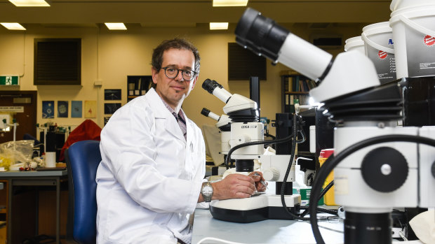 Dr Michael Frese, who is part of a team researching the use of probiotics to save bees from chalkbrood disease.