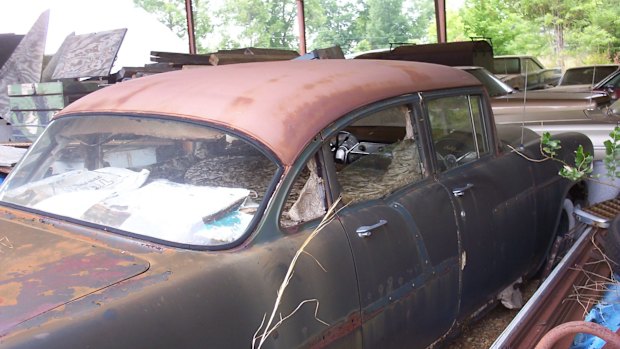 A yellow jacket nest inside a car.