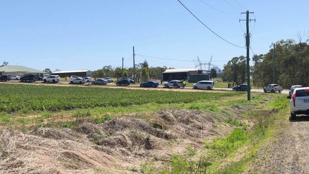 Cars queue at a Wamuran strawberry farm for two hours on Wednesday.
