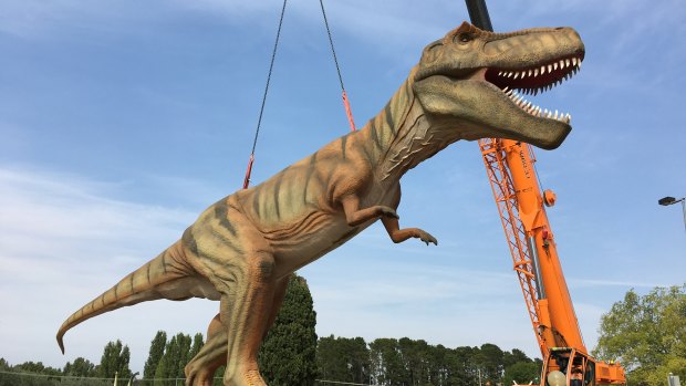 A 4.5-tonne rubber T-Rex was moved on Thursday morning at the National Dinosaur Museum to make way for a petrol station on the Barton Highway.