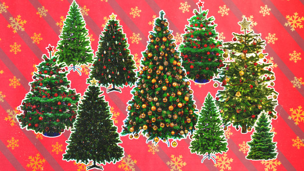 The big Christmas tree decision is being influenced by nostalgia and the environment.
