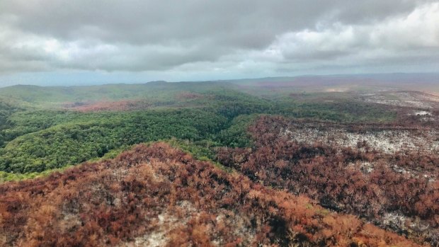 The fire that ravaged Fraser Island has finally been contained. 