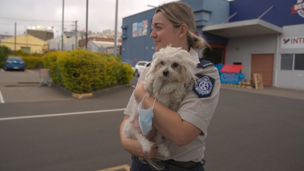 The dog taken from the pet store by RSPCA inspectors.