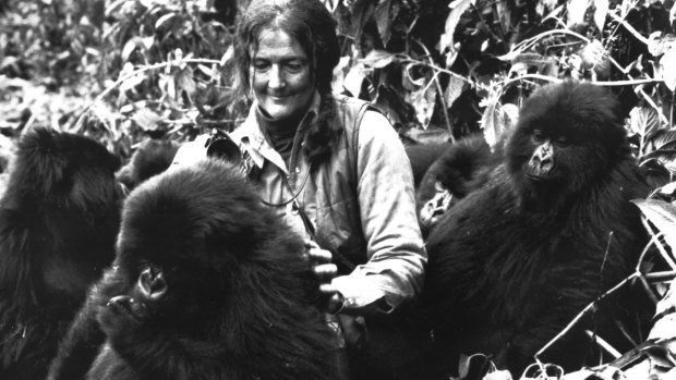 Dian Fossey in the film Gorillas in the Mist.