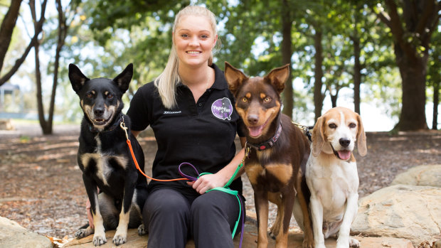 Determined and hand-working: Pups4Fun founder Rhiannon Beach graduated in law and ran the doggy daycare business.