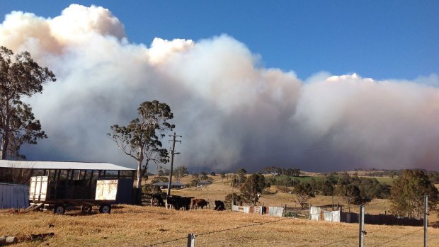 A fire burning out of control north of Bemboka. 