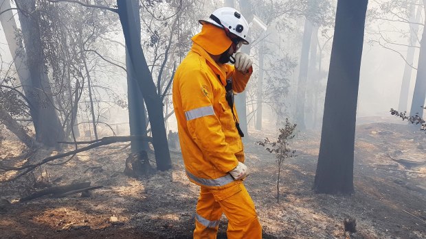 A firefighter tackles a bushfire near Binna Burra in September.  