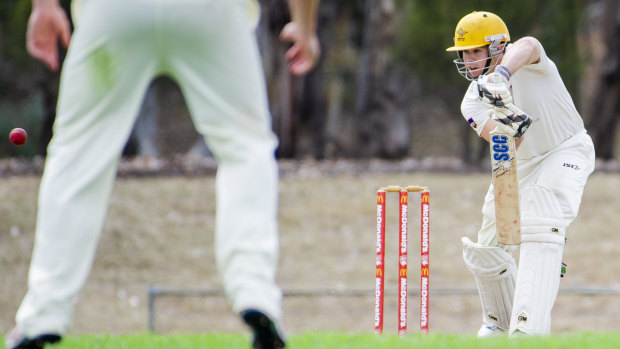 Rhys Healy has led Ginninderra back to the Cricket ACT Douglas Cup final.