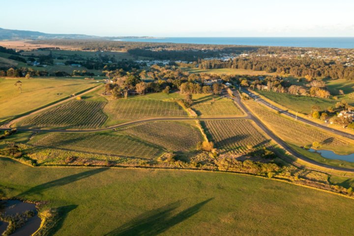 Coolangatta Estate was established by Alexander Berry and Edward Wollstonecraft in 1822.