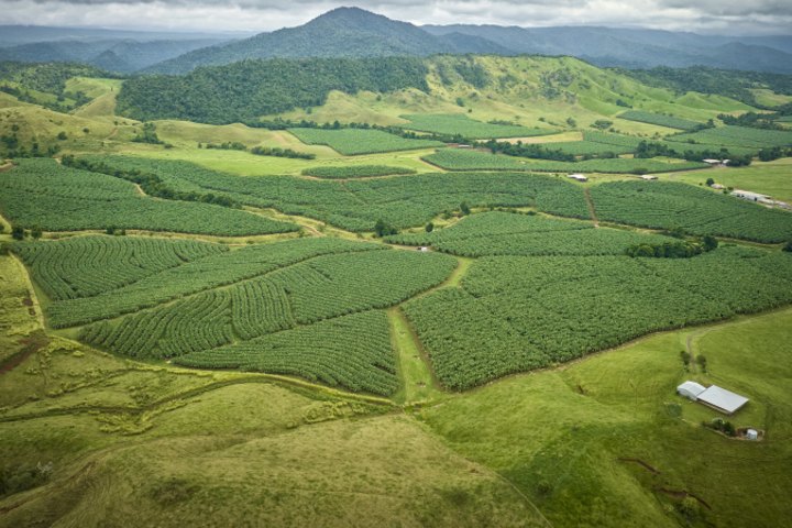 Mackay Farming Group includes nine farms spanning almost 5,900ha