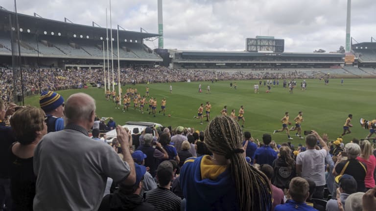 West Coast fans attend Eagles training at Subiaco Oval before Saturday's grand final at the MCG.