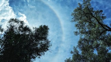 Sun halos are caused by the presence of ice particles in the upper atmosphere.