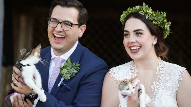 David Sharaz and Alexandra Craig - and their cats! - on their wedding day in Canberra in March this year.