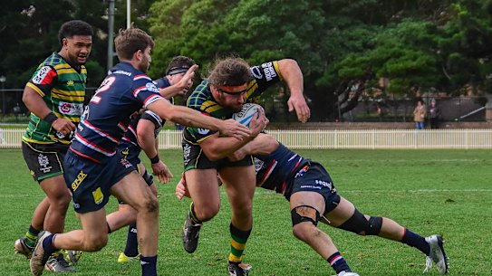 Gordon knocked off Eastern Suburbs in round one to kick off their season on the right note in the Shute Shield. 