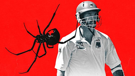 South Australia’s men’s cricket team is no longer known as the Redbacks, and is hosting this season’s Sheffield Shield final.