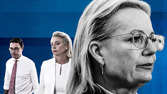 Sussan Ley, David Littleproud and Bridget McKenzie