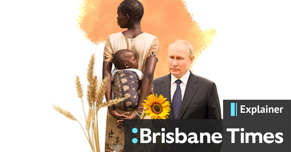 Russia-Ukraine war: How Putin's war could trigger catastrophe for other nations - Vimarsana News
