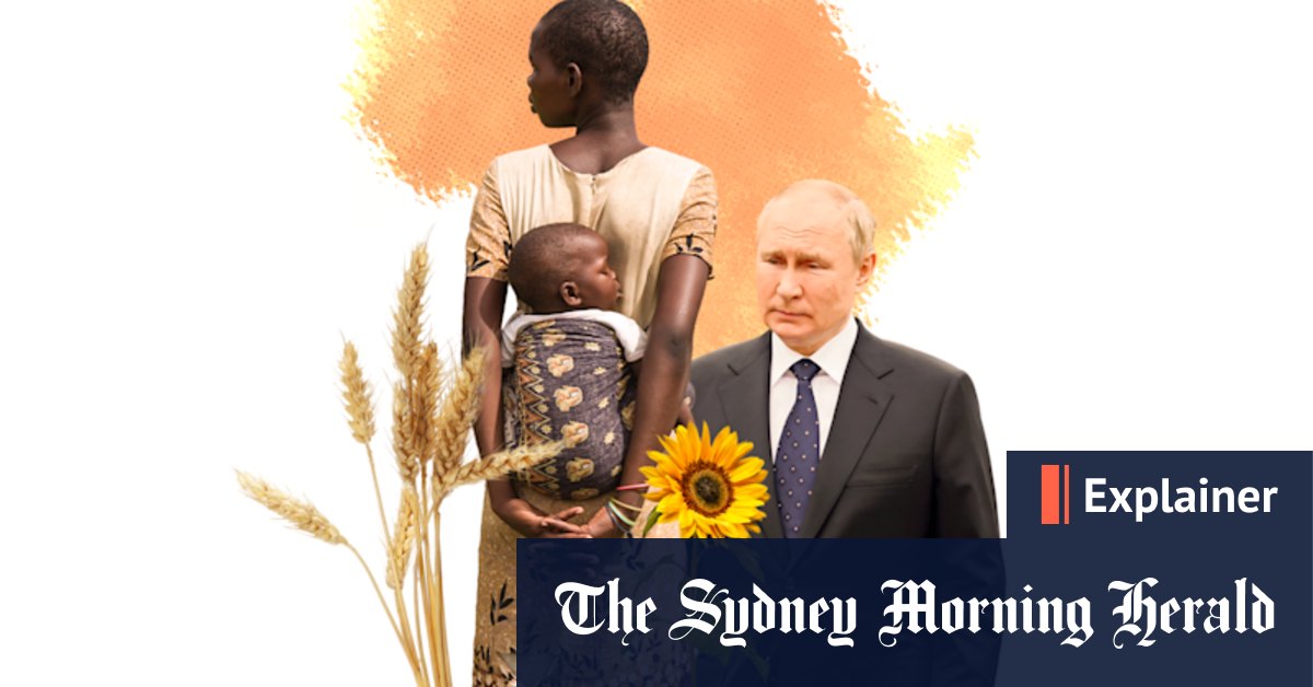 Russia-Ukraine war: How Putin's war could trigger catastrophe for other nations - Vimarsana News