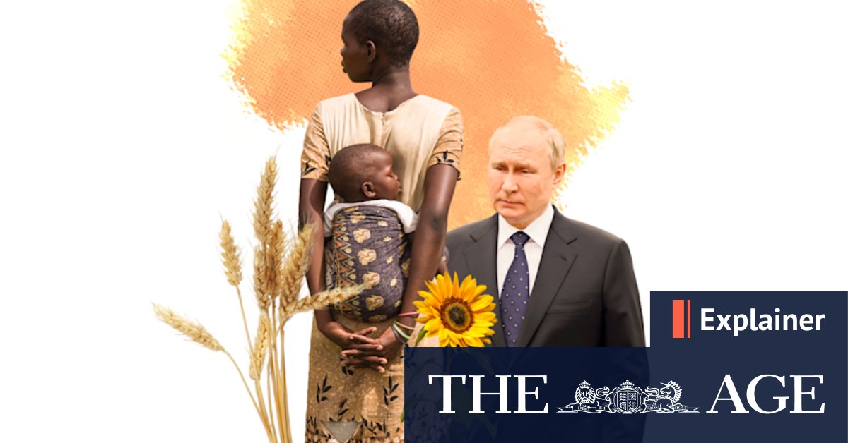 Russia-Ukraine war: How Putin's war could trigger catastrophe for other nations - Vimarsana News