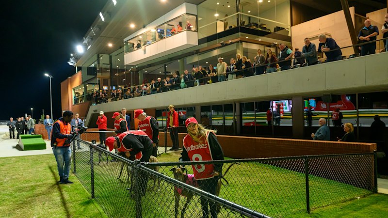 Welfare files kept secret as toll rises at greyhound ‘death factory’