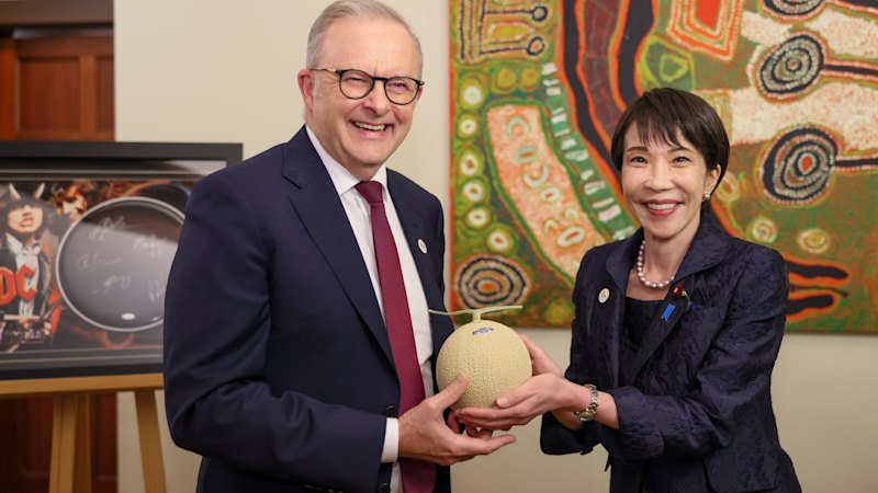 Japanese melon controversy draws scrutiny over Canberra’s political dispute