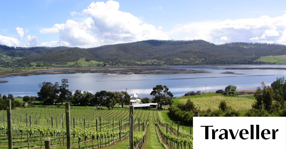 The best Hobart wineries: six must-try cellar doors - Vimarsana News
