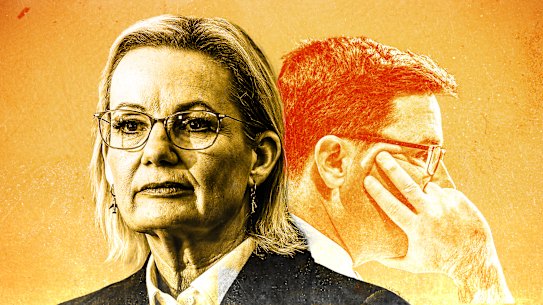 Sussan Ley and David Littleproud.