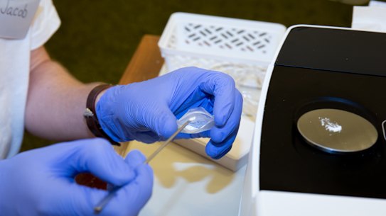 A public health alert circulated by Queensland Health this week confirmed 5-cyano-isotodesnitazene (isotocyanozene), a rare synthetic opioid, had been detected in a toxicology test and powder sample in south-east Queensland. It is the second person to die from a nitazene in a week.