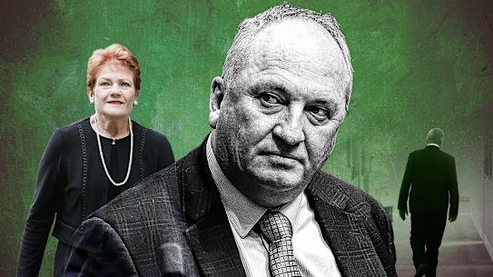 Under a new plan, Barnaby Joyce is set to eventually succeed One Nation leader Pauline Hanson.