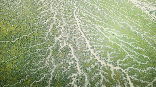 Lake Eyre/Kati Thanda flooding as seen from the air in October.