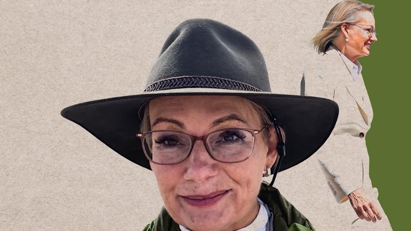 Former politician reveals authenticity voters rejected during political career (australia) — The Age