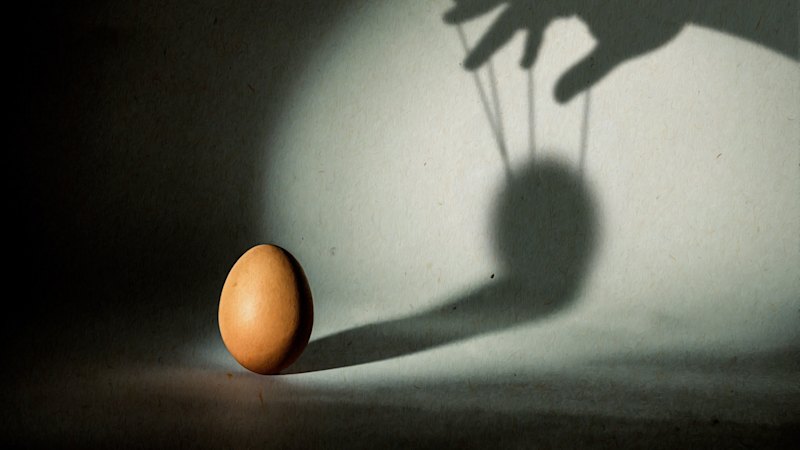 Big egg cartel: Major Australian suppliers accused of whipping up higher prices