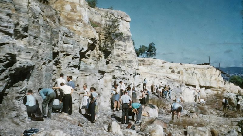 Australia’s oldest dinosaur fossil found in a Brisbane suburb
