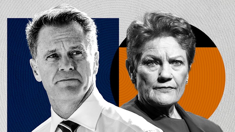 NSW Labor’s Minns backs planned firearm buyback amid claims it could become an election issue