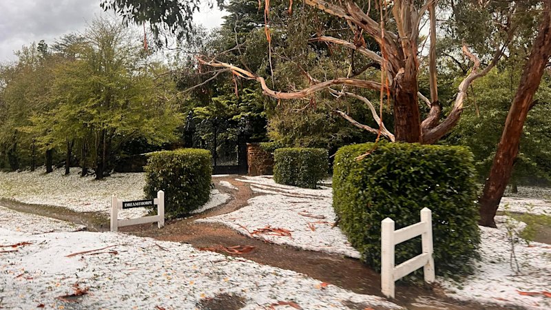 Parts of Victoria on flood watch as heavy rain set to continue